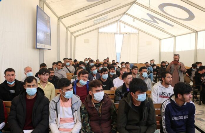 تصویر از مهاجرین